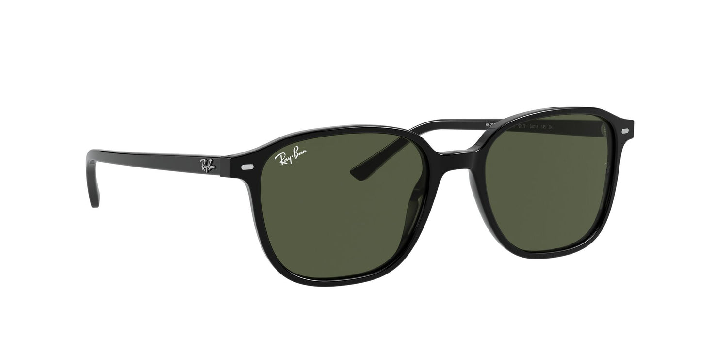 Óculos de Sol Ray-Ban Leonard RB2193 901 31