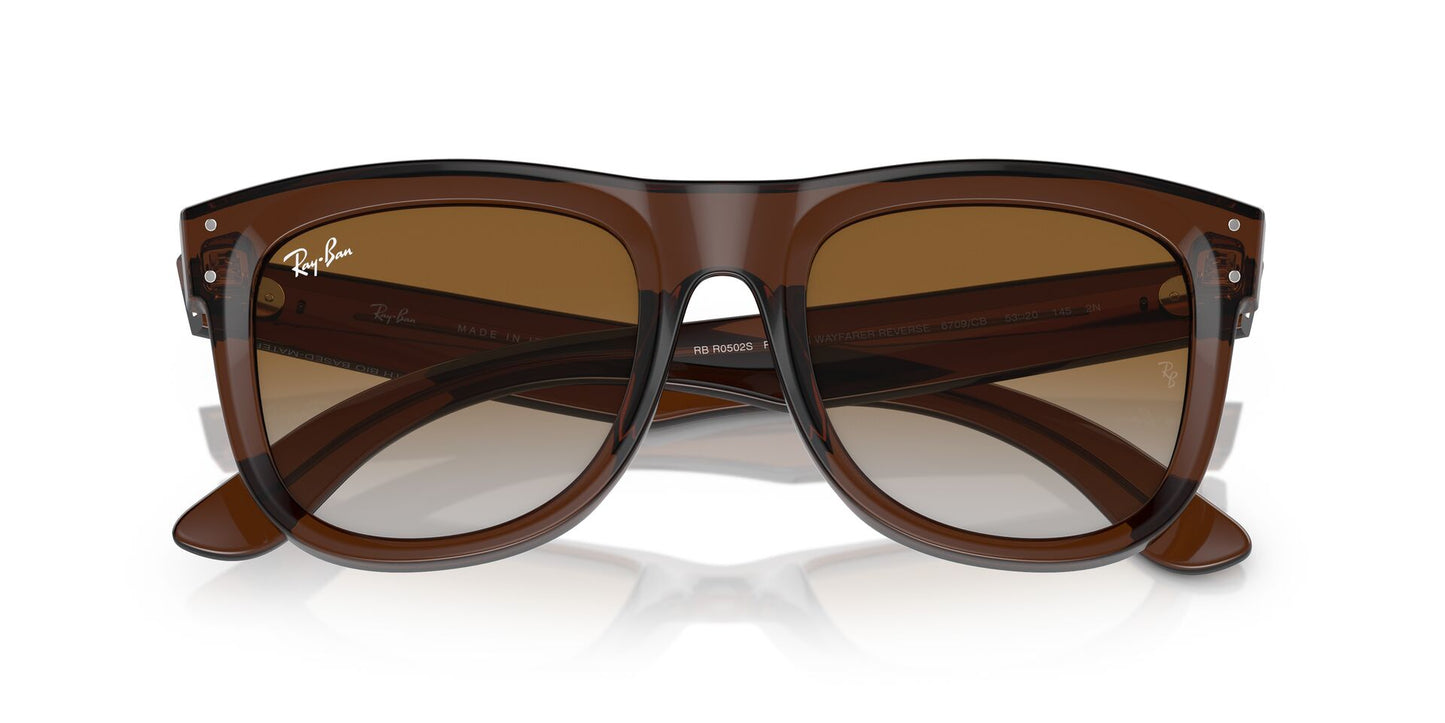 Óculos de Sol Ray-Ban Wayfarer Reverse RB0502S 6709CB