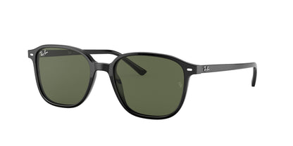 Óculos de Sol Ray-Ban Leonard RB2193 901 31