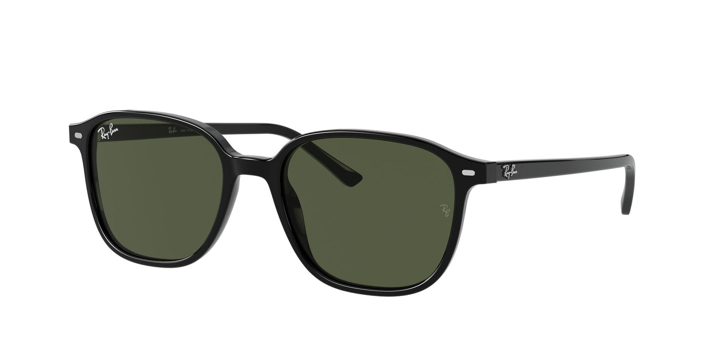 Óculos de Sol Ray-Ban Leonard RB2193 901 31