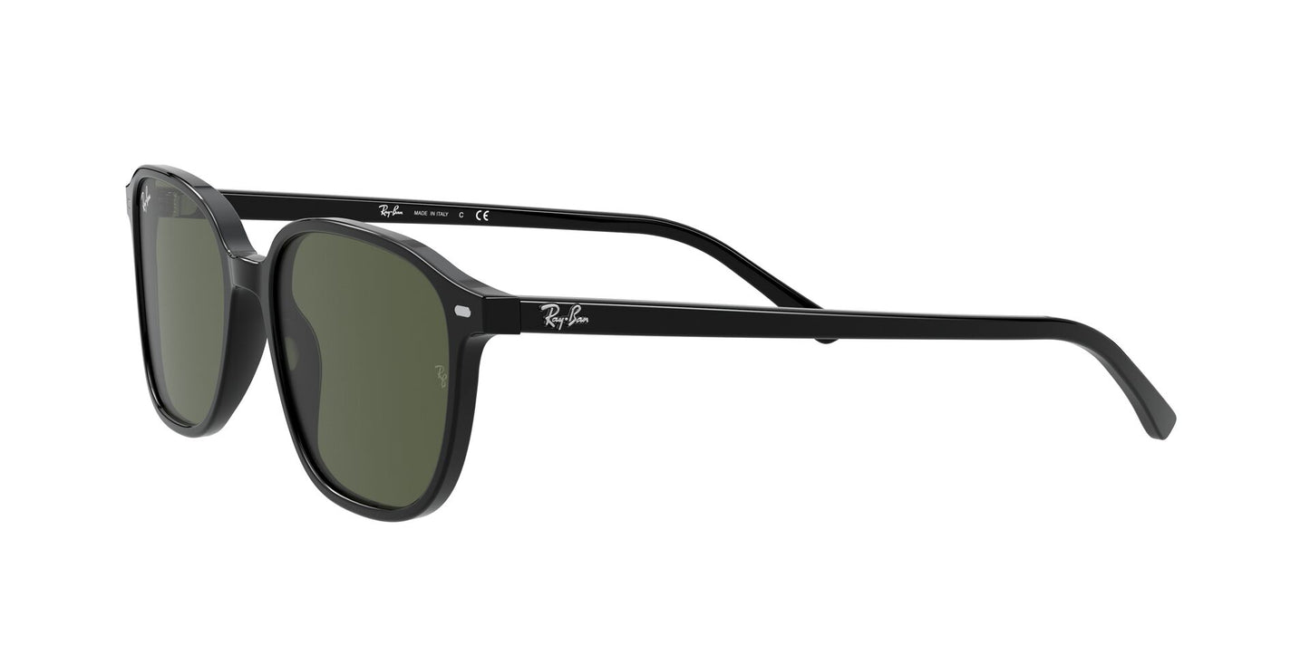 Óculos de Sol Ray-Ban Leonard RB2193 901 31