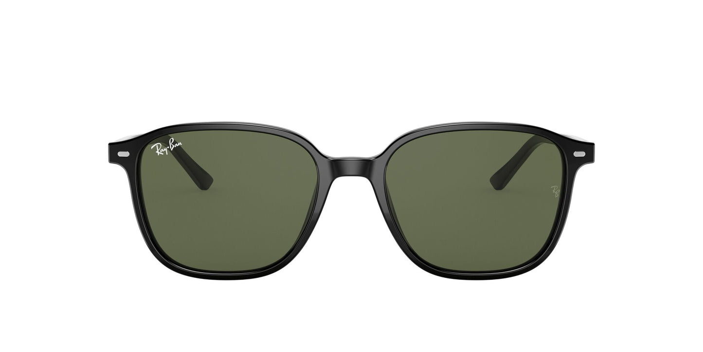 Óculos de Sol Ray-Ban Leonard RB2193 901 31