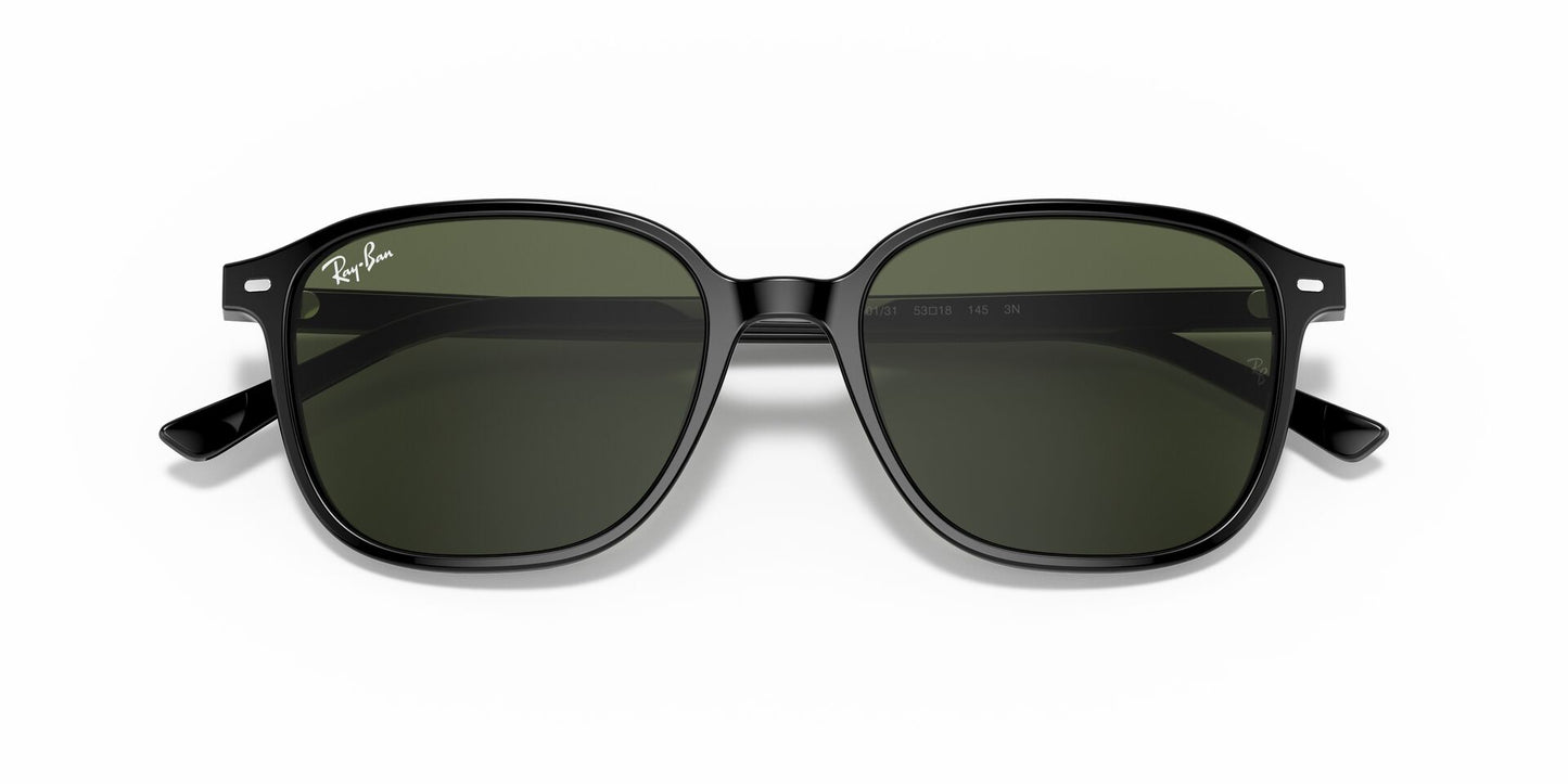 Óculos de Sol Ray-Ban Leonard RB2193 901 31