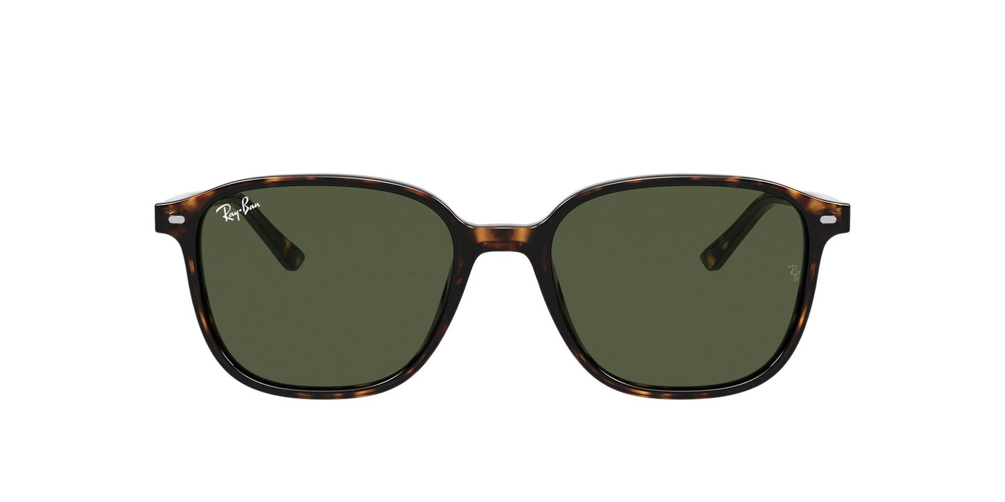 Óculos de Sol Ray-Ban Leonard RB2193 902 31