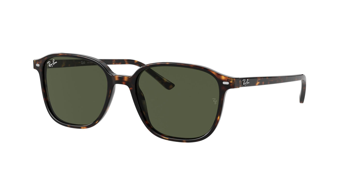 Óculos de Sol Ray-Ban Leonard RB2193 902 31