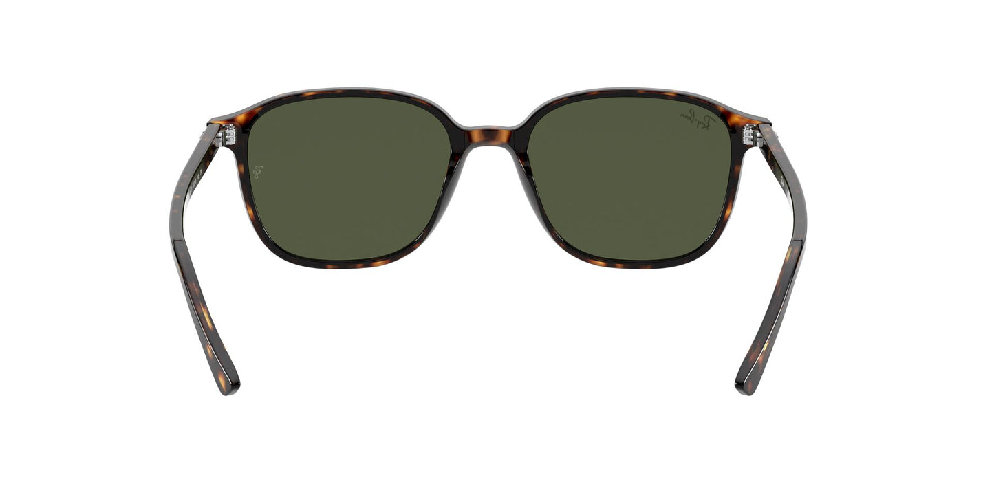 Óculos de Sol Ray-Ban Leonard RB2193 902 31