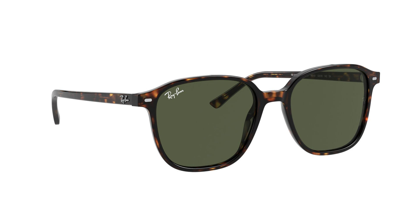 Óculos de Sol Ray-Ban Leonard RB2193 902 31