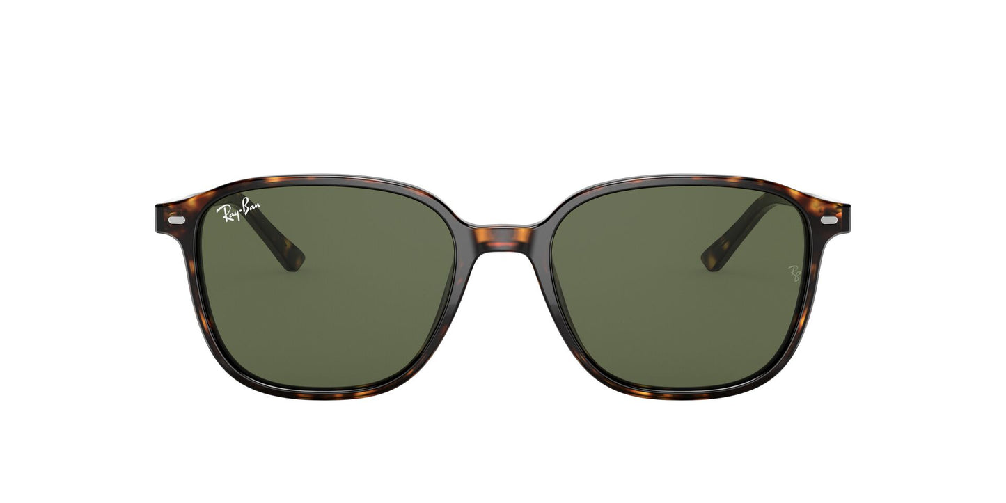 Óculos de Sol Ray-Ban Leonard RB2193 902 31