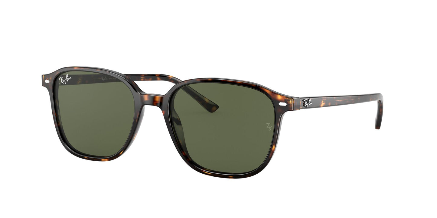 Óculos de Sol Ray-Ban Leonard RB2193 902 31