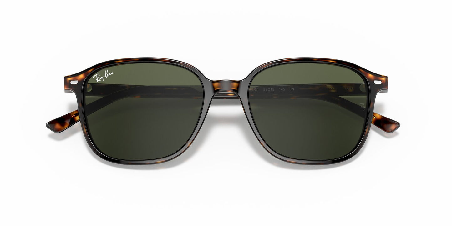 Óculos de Sol Ray-Ban Leonard RB2193 902 31