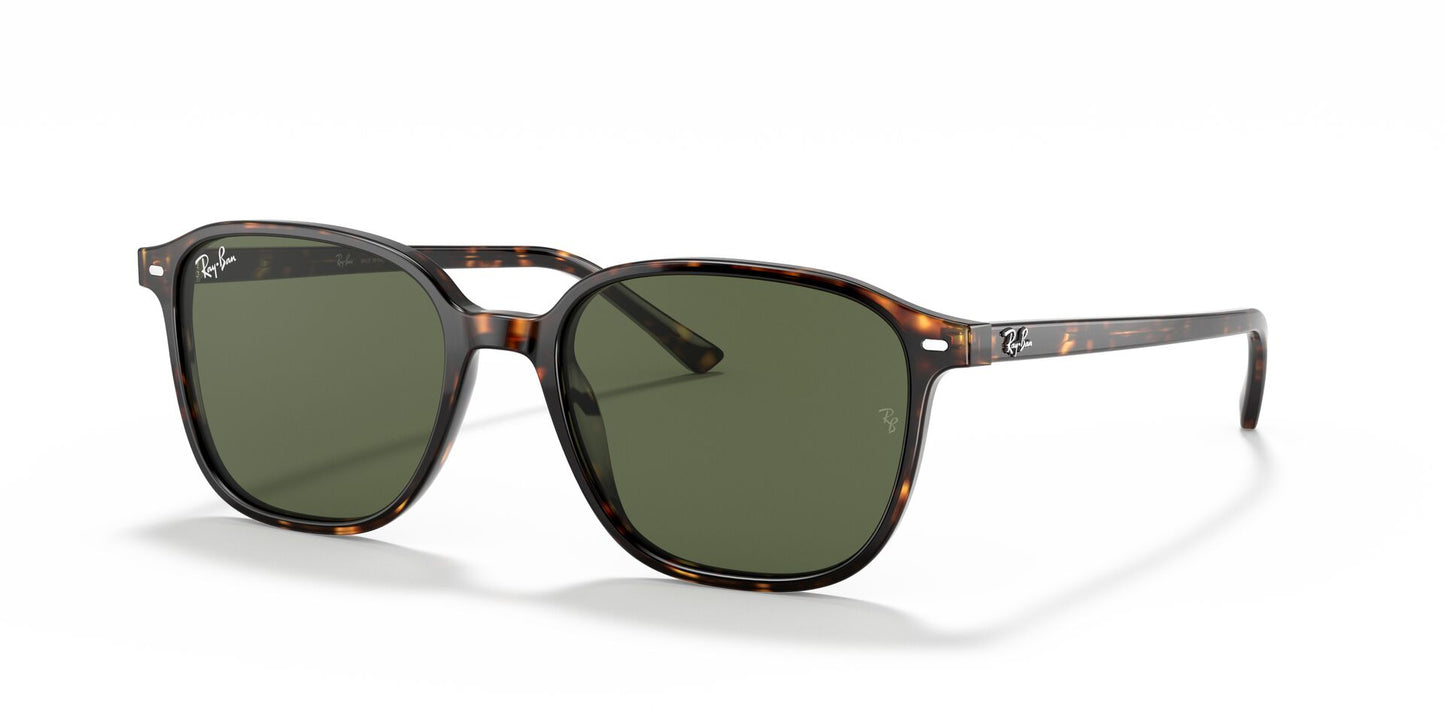 Óculos de Sol Ray-Ban Leonard RB2193 902 31