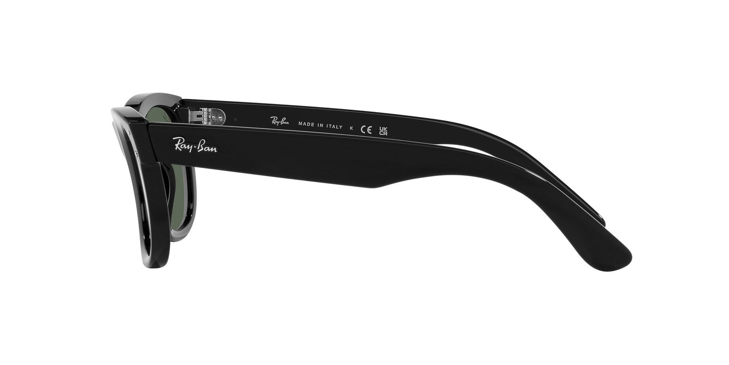 Óculos de Sol Ray-Ban Wayfarer Reverse RB0502S 6677VR